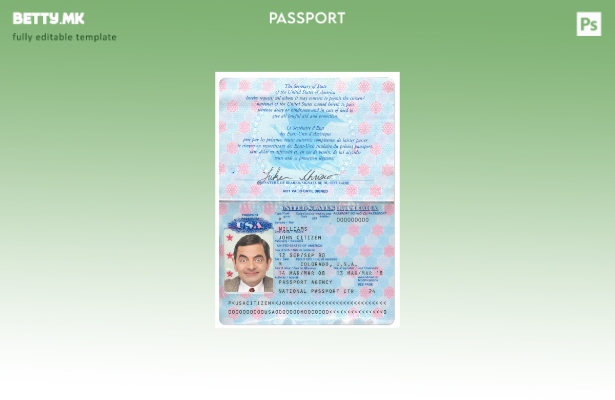 Модерен стил пред шаблон за американски пасош